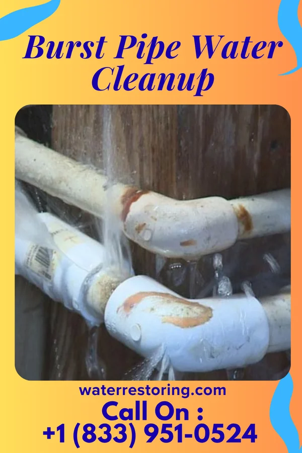 Burst Pipe Water Cleanup in Florence, OR